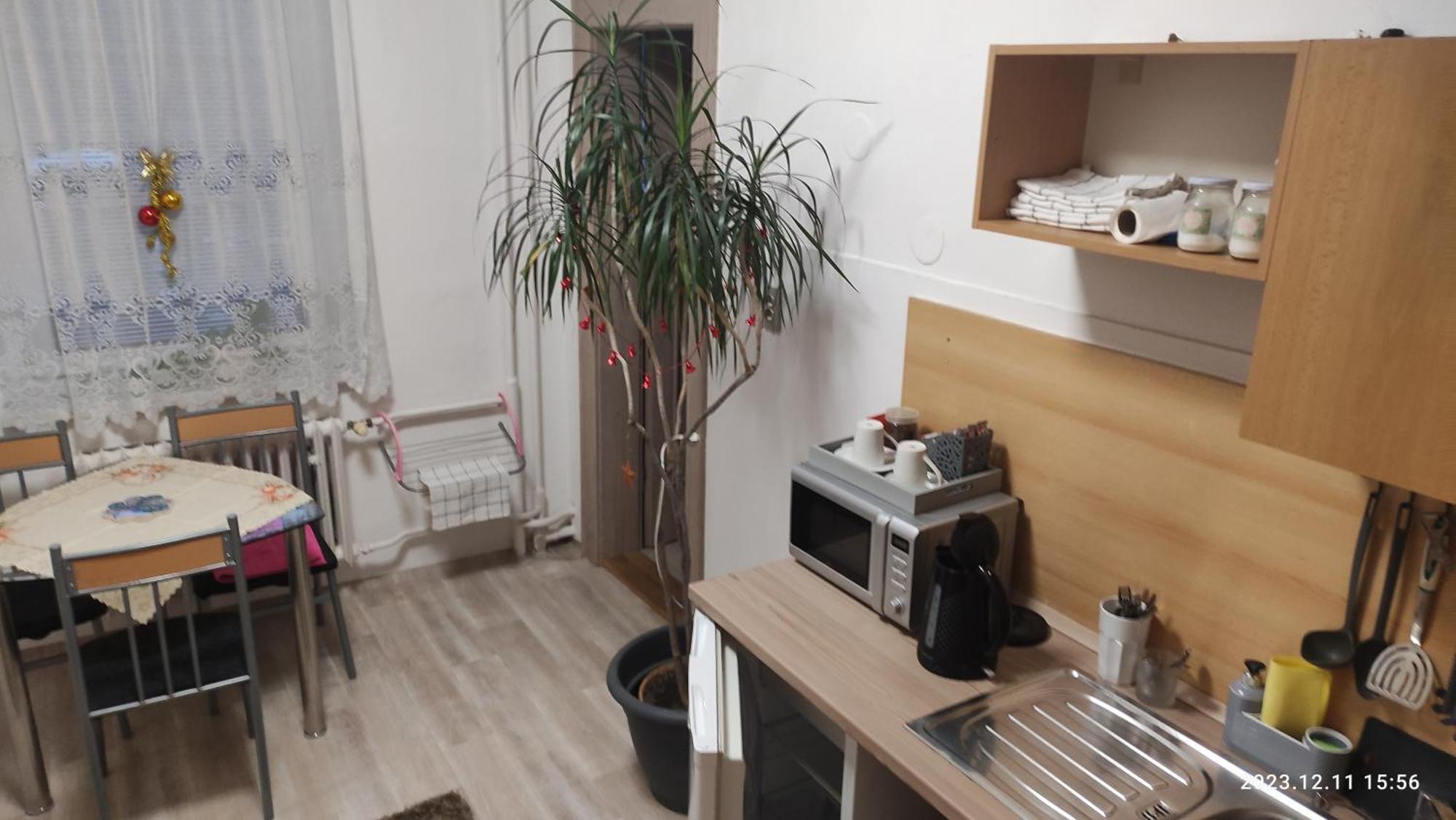 Penzion Palma Frýdlant nad Ostravicí Buitenkant foto