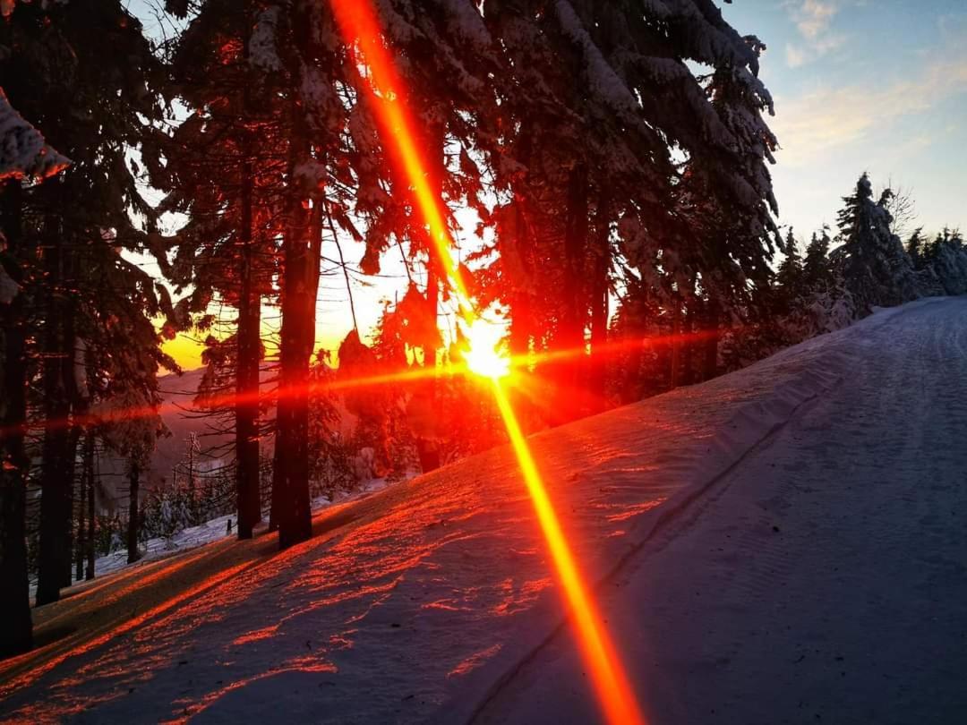 Penzion Palma Frýdlant nad Ostravicí Buitenkant foto